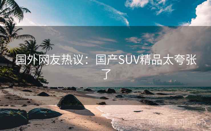 国外网友热议：国产SUV精品太夸张了  第2张