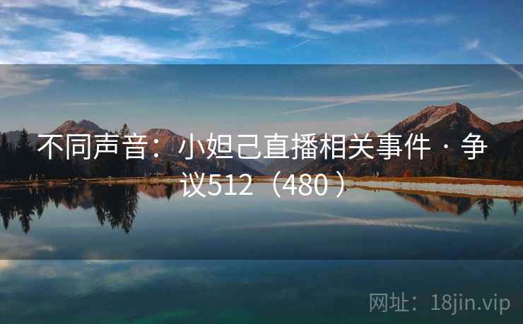 不同声音：小妲己直播相关事件 · 争议512（480 ）
